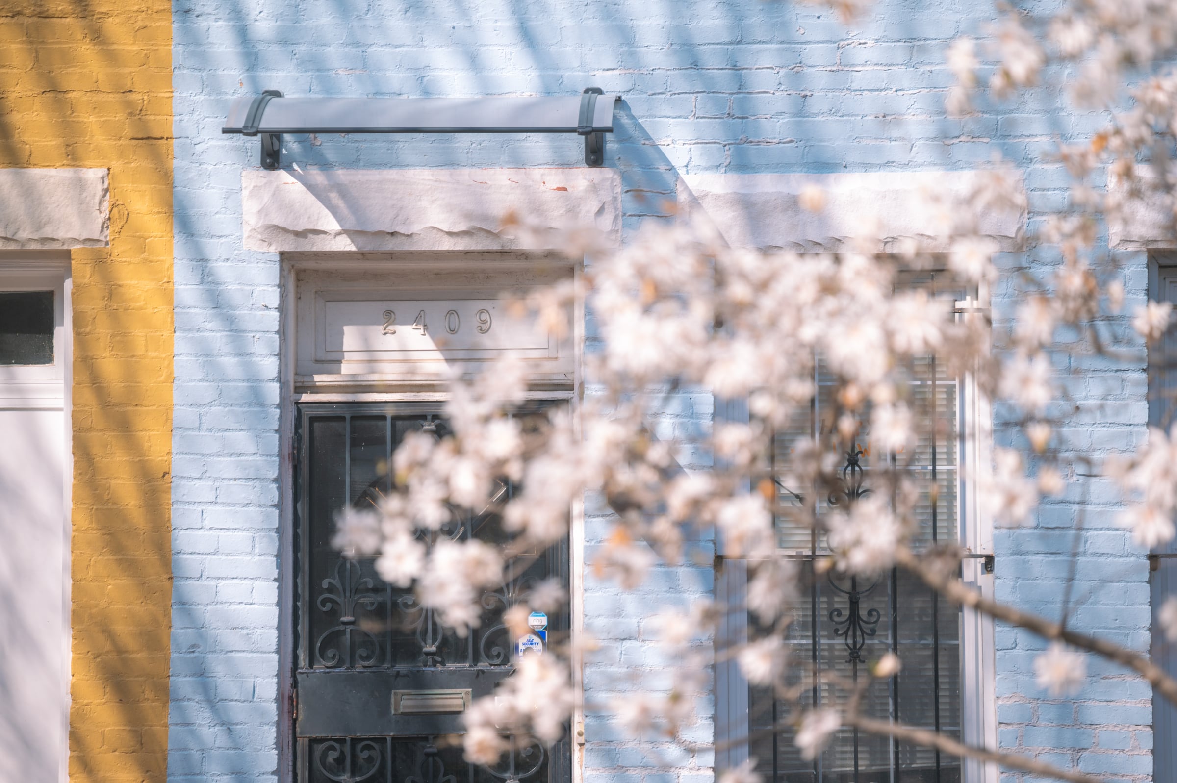 Soft pink blossoms blur across pastel blue and yellow row-house façades.
