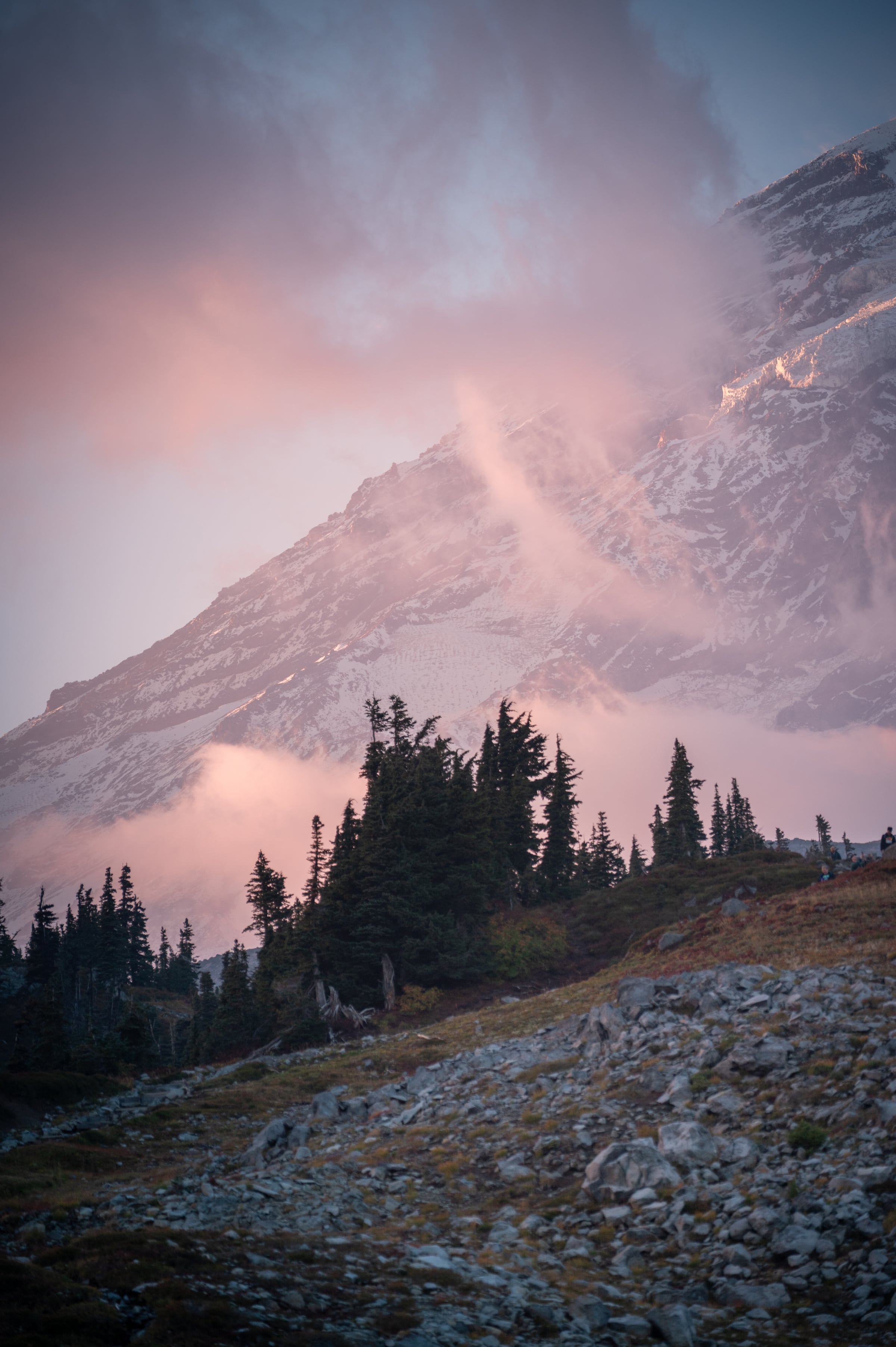 Pink-lit cloud drifts across a snow-streaked mountain above dark fir trees.